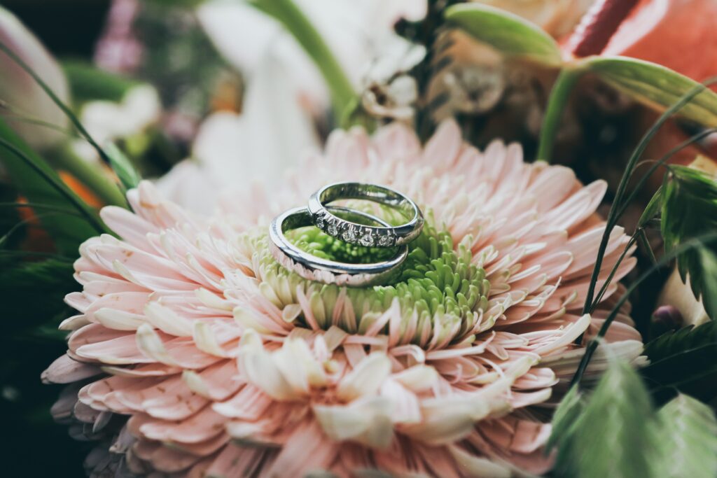 Two wedding rings a top a pink flower surrounded by greenery.